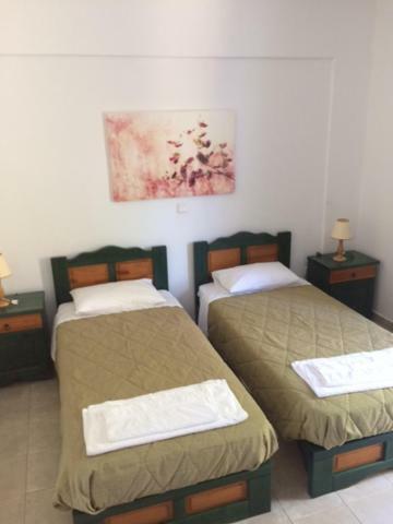Koukounaries Apartment Skala (Kefalonia)