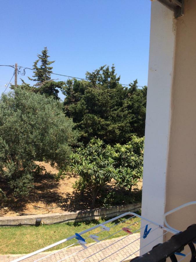 Koukounaries Apartment Skala (Kefalonia)